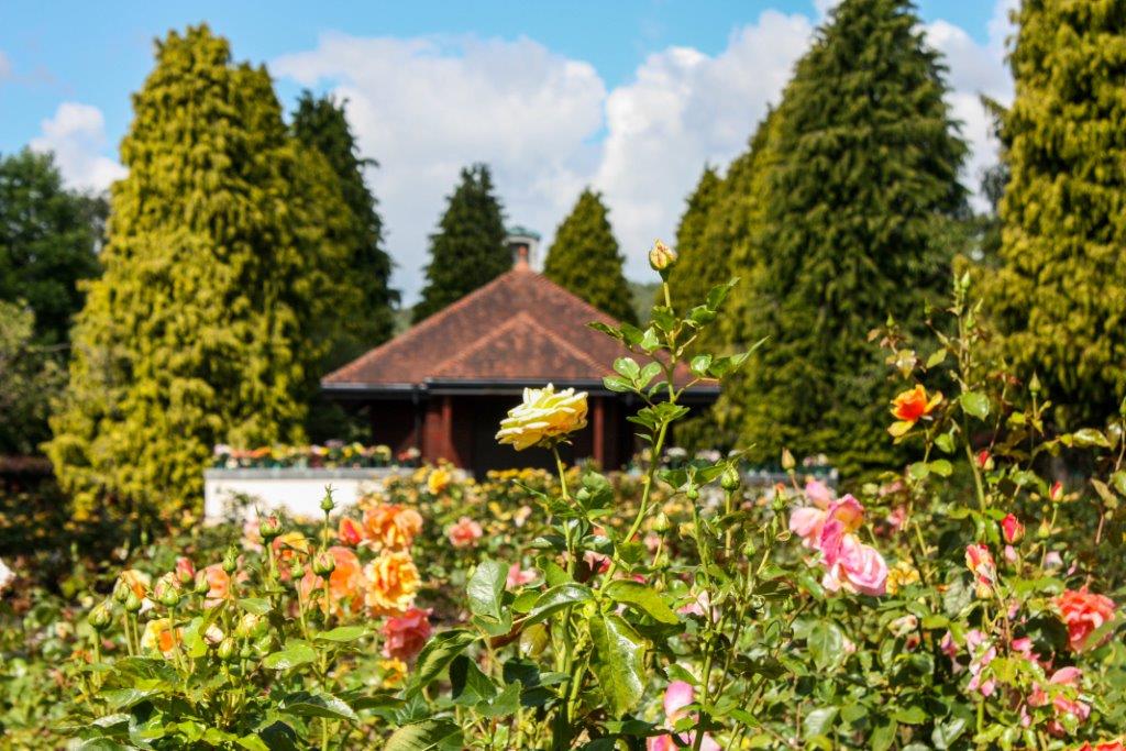 Cemetery Of The Year Award For Thornhill