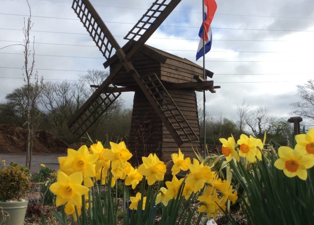Directory: Dutch Garden Centre
