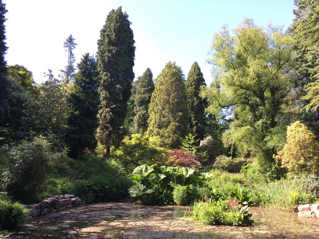 Parc Cefn Onn Car Park Restricted To Blue Badge Holders