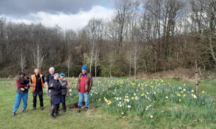 Cardiff’s Urban Forest Grows By Another 36,000 Trees