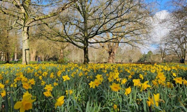 The Ultimate Guide To Parks In Cardiff