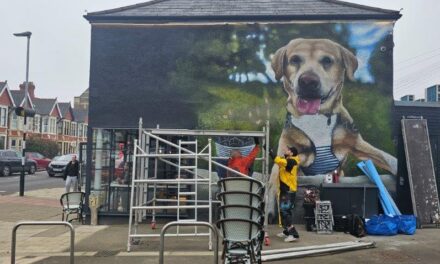 Street Art In The Heart of Pontcanna