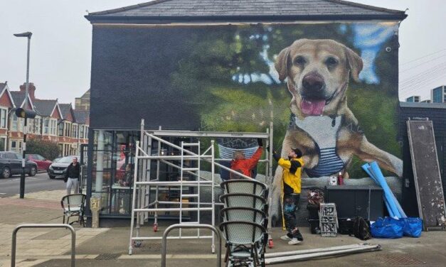Street Art In The Heart of Pontcanna