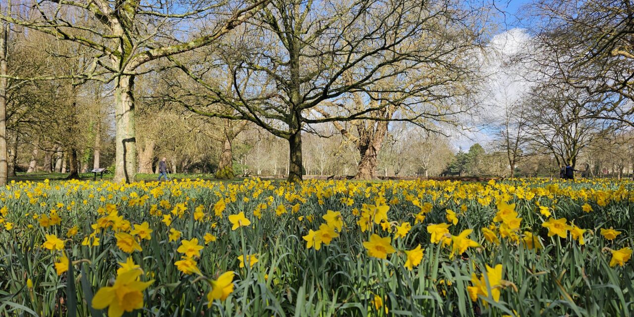Bute Park Cardiff: Complete Guide To Walks, Wildlife And Hidden Gems