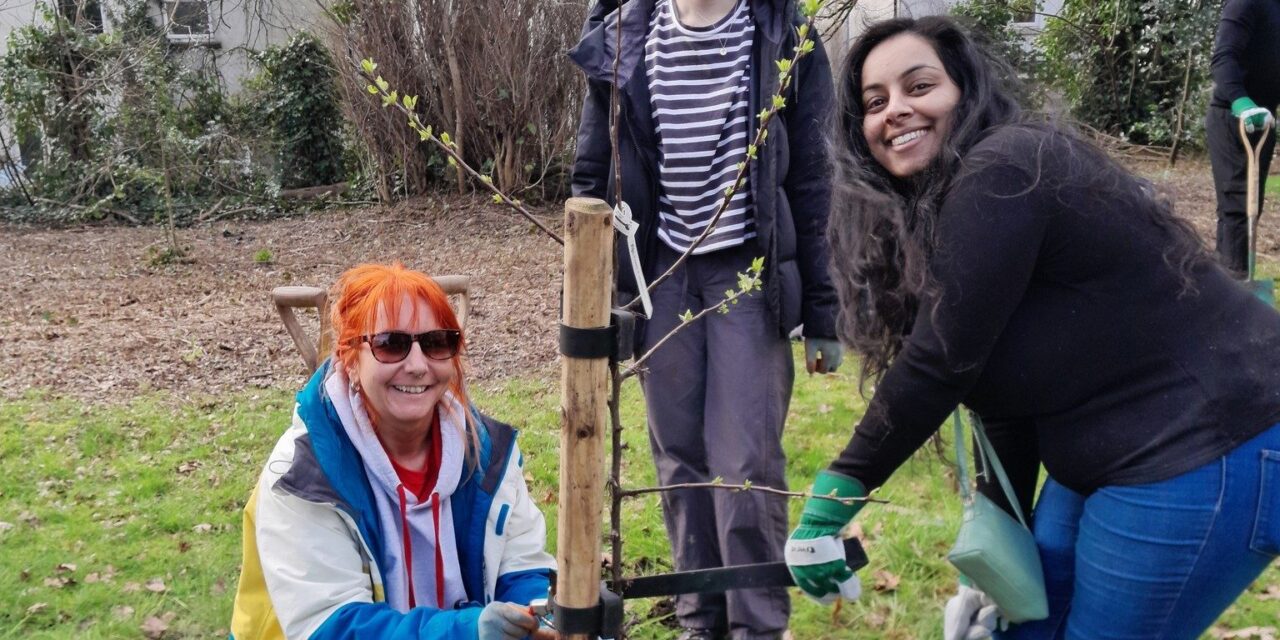 Coed Caerdydd: 30,000 More Trees For Every Corner Of Cardiff