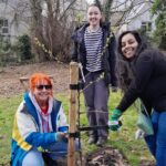 Coed Caerdydd: 30,000 More Trees For Every Corner Of Cardiff